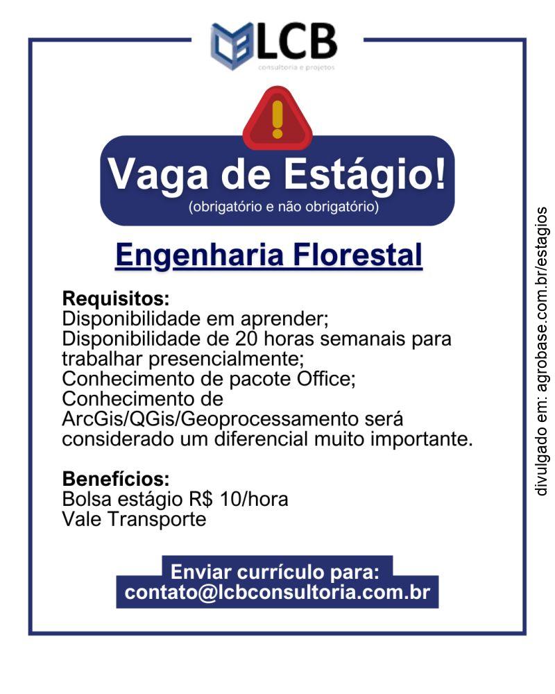 Estágio em engenharia florestal – Curitiba/PR