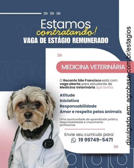 Estágio remunerado em med. veterinária – Espírito Santo do Pinhal/SP