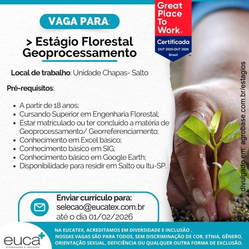 Estágio florestal geoprocessamento – Salto/SP