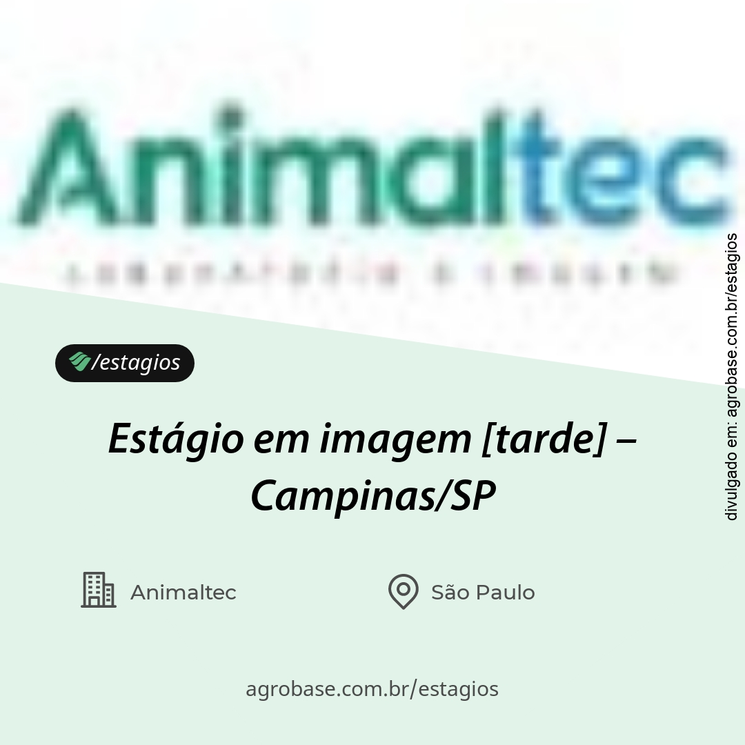 Estágio em imagem [tarde] – Campinas/SP