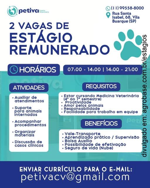 02 vagas de estágio remunerado medicina veterinária – São Paulo/SP