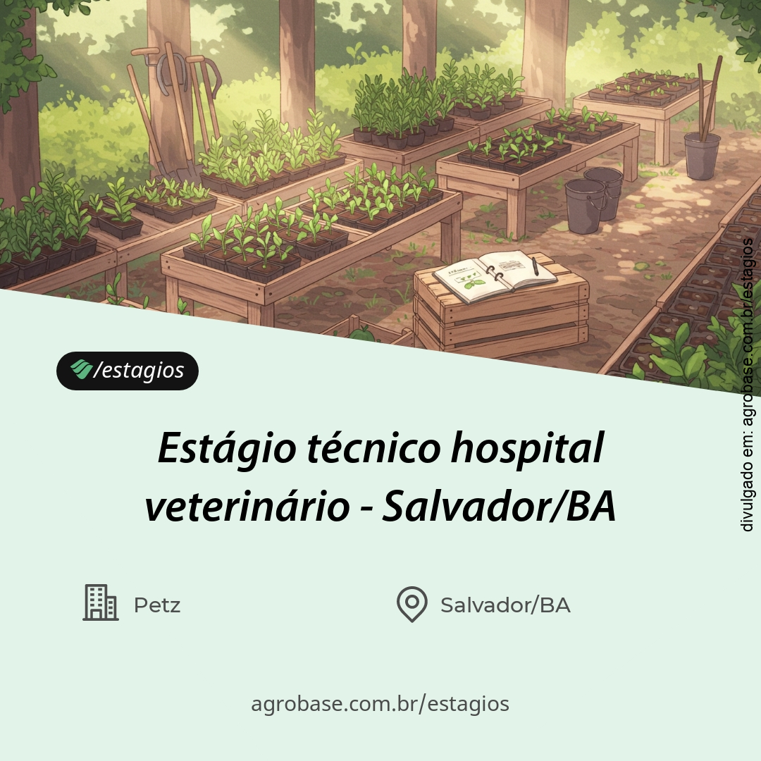 Estágio técnico hospital veterinário – Salvador/BA
