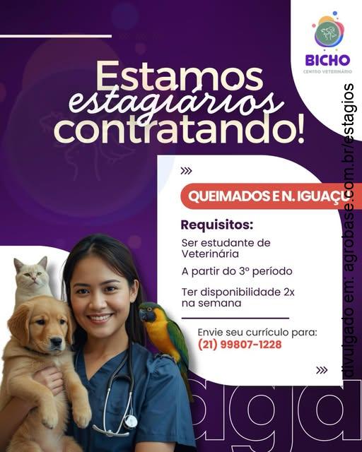 Estágio medicina veterinária – Queimados/RJ