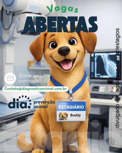 Estágio em medicina veterinária – Belo Horizonte/MG