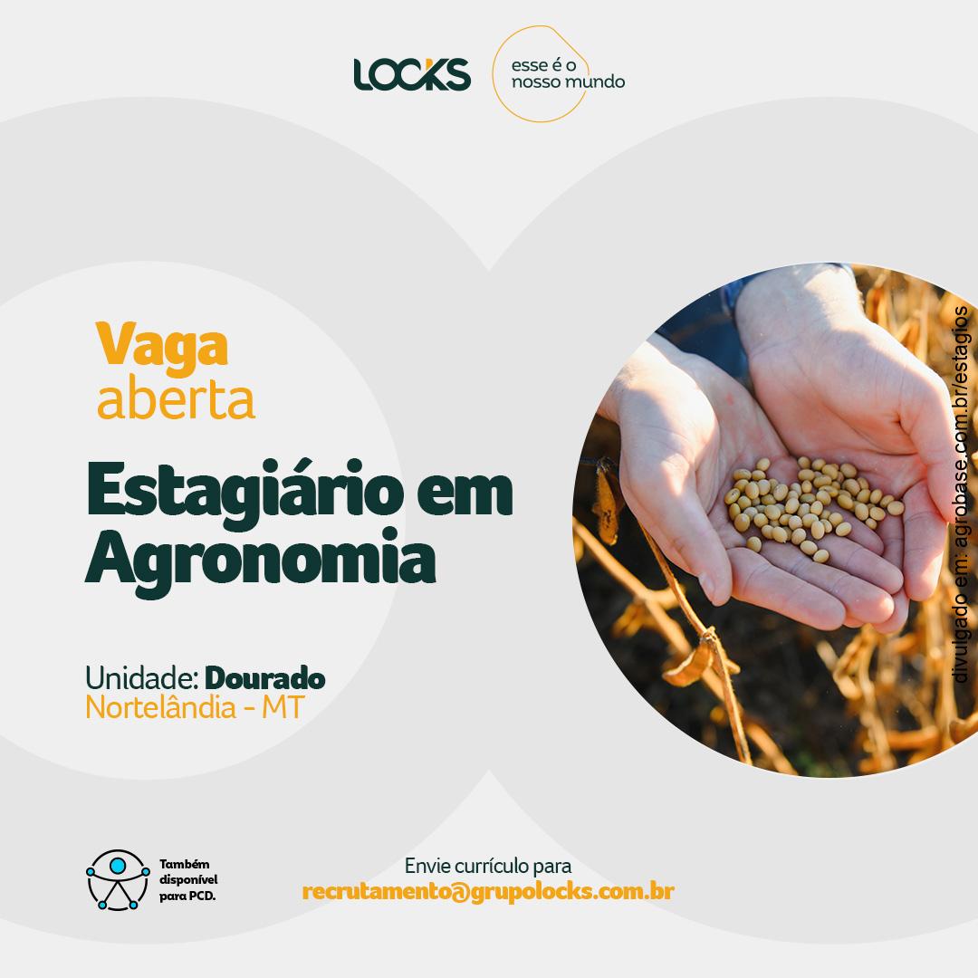Estágio em agronomia – Nortelândia-MT