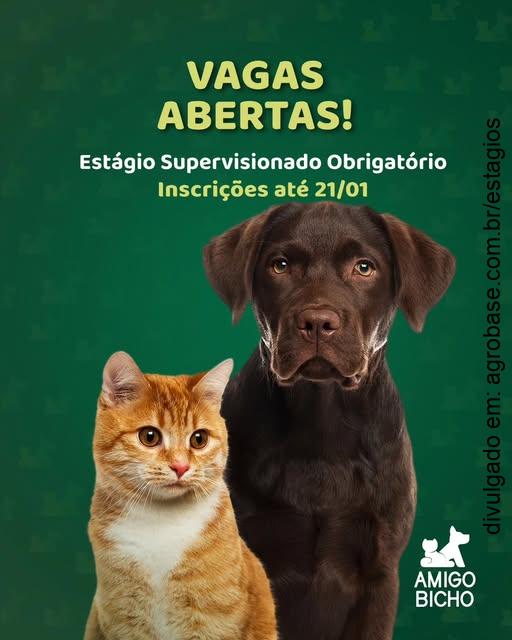 Estágio supervisionado obrigatório – Natal/RN