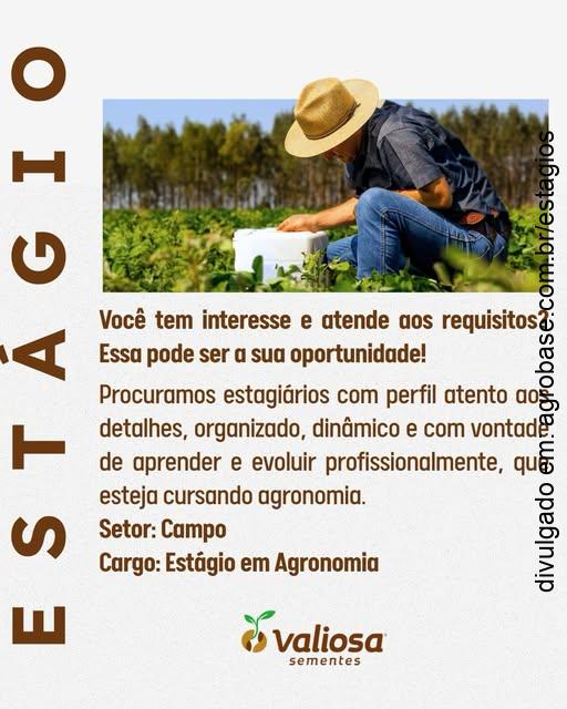 Estágio em agronomia – Nazareno/MG