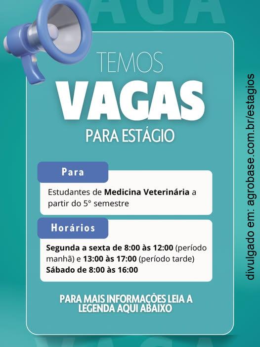 Estágio medicina veterinária – Fortaleza/CE