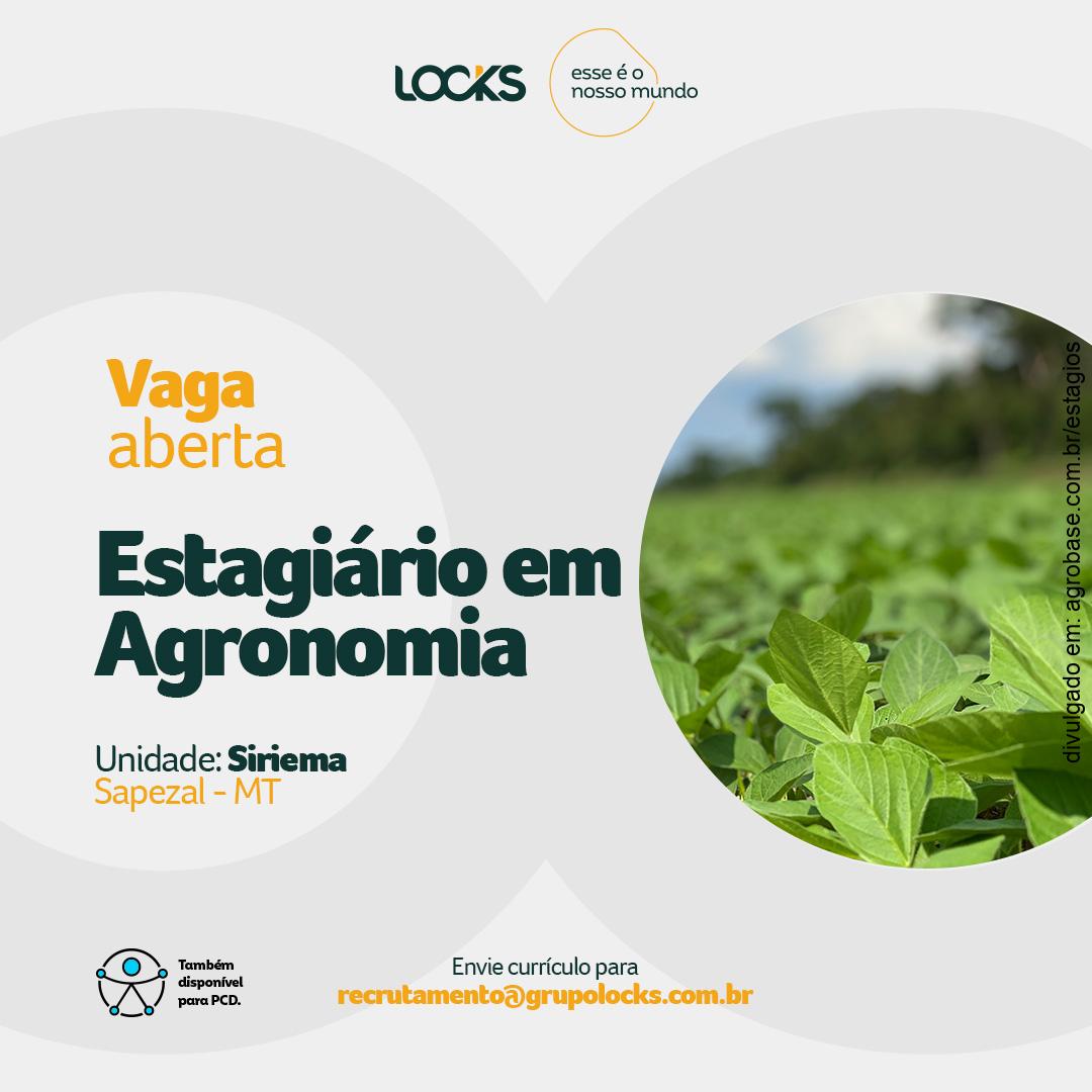 Estágio em agronomia – Sapezal/MT