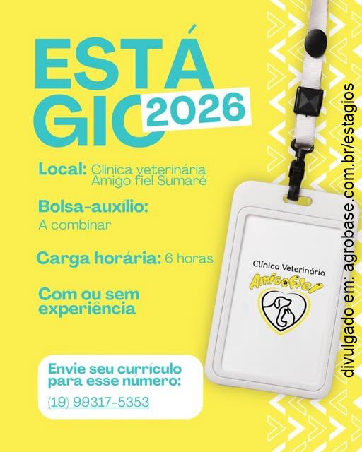 Estágio em medicina veterinária – Sumaré/SP