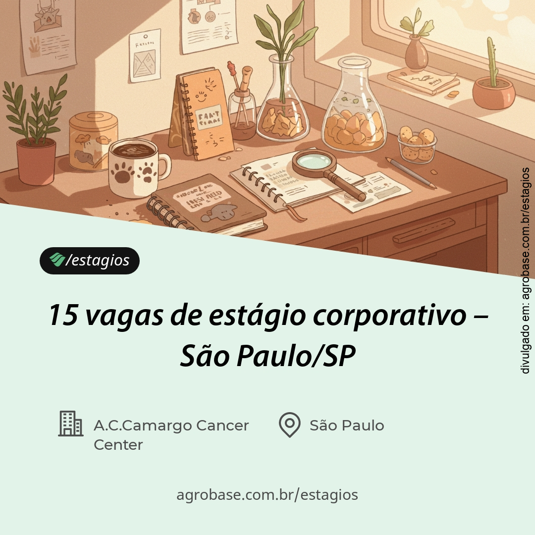 15 vagas de estágio corporativo – São Paulo/SP