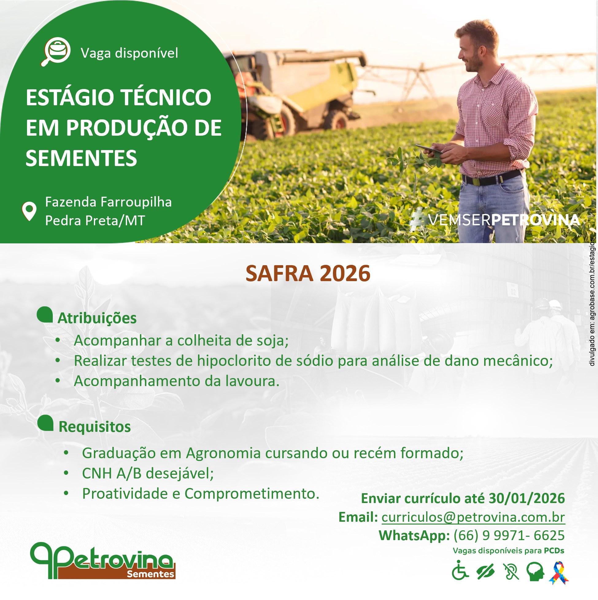 Estágio técnico em produção de sementes – Pedra Preta/MT