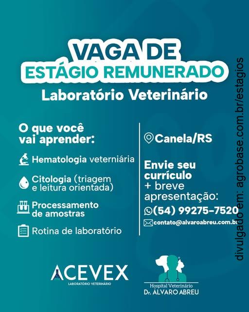 Estágio laboratório veterinário – Canela/RS