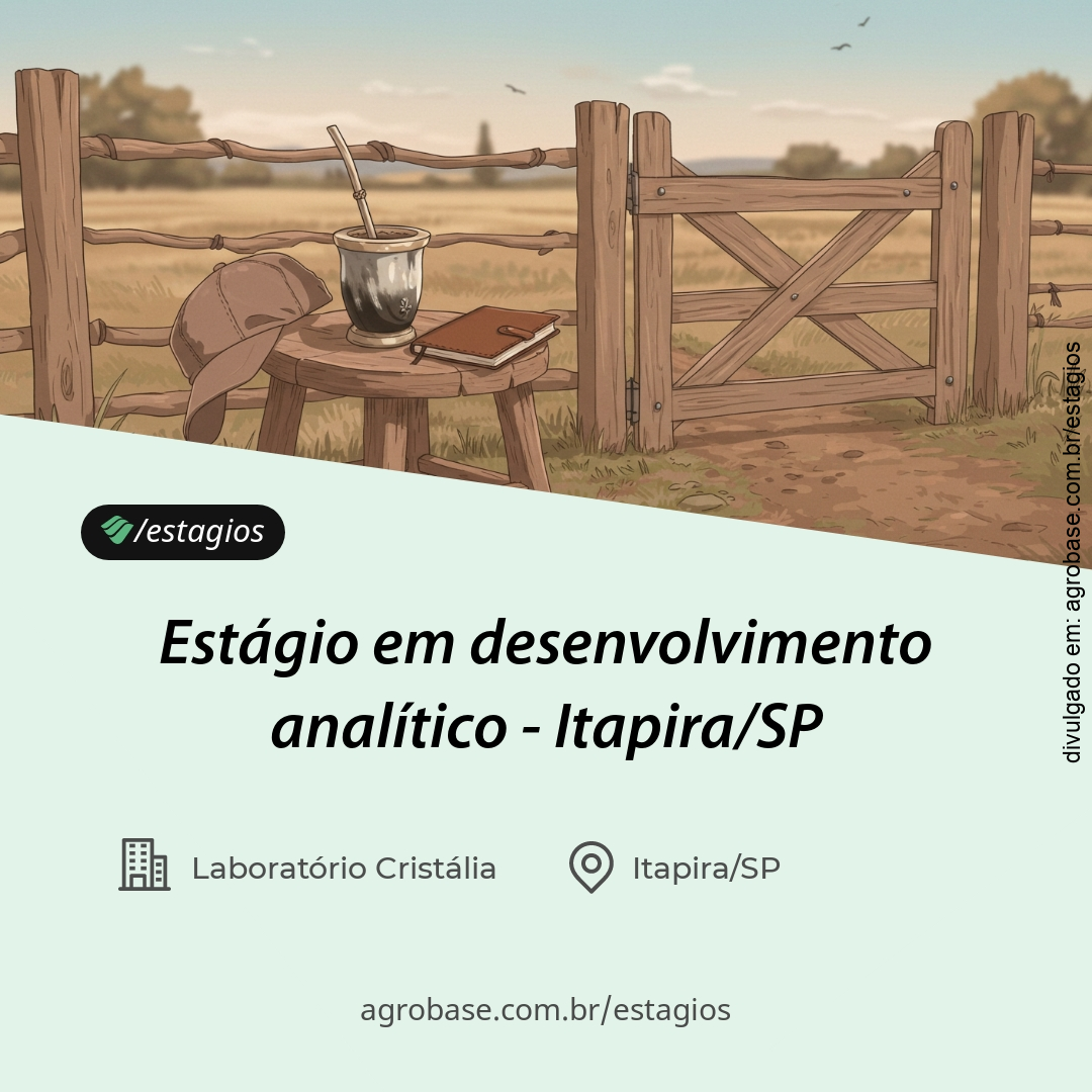 Estágio em desenvolvimento analítico – Itapira/SP