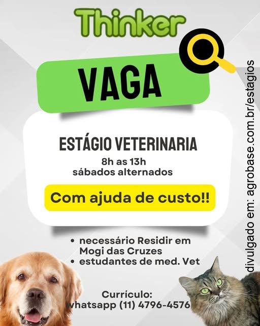 Estágio auxiliar veterinário – Mogi das Cruzes/SP