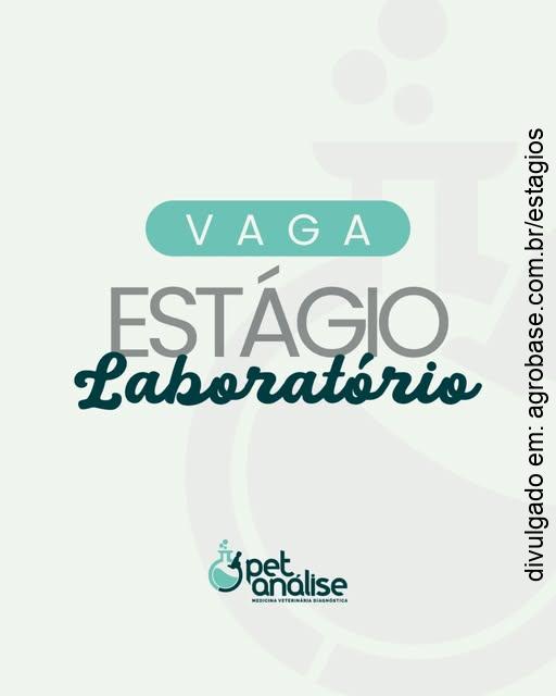 Estágio em laboratório – Indaiatuba/SP