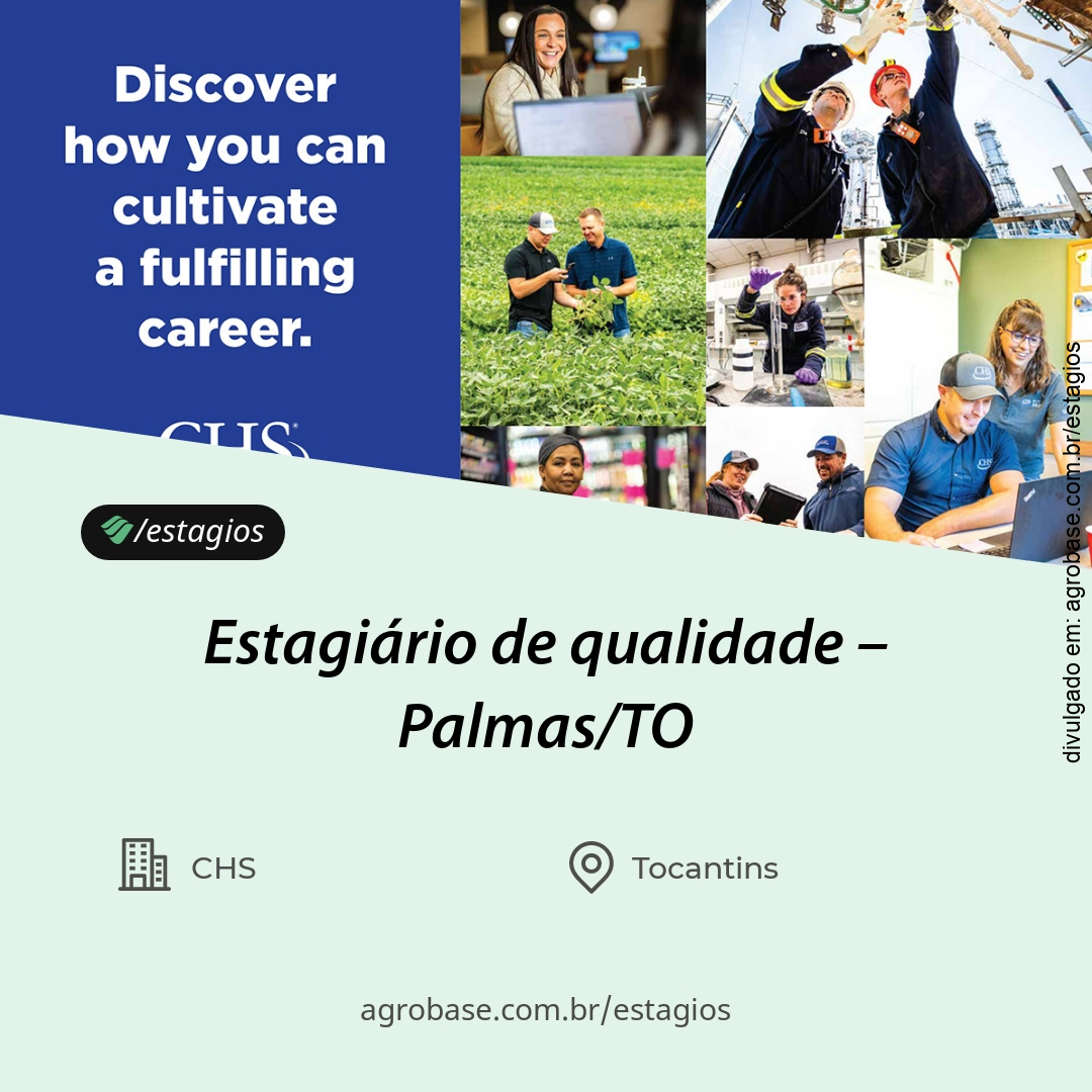 Estagiário de qualidade – Palmas/TO