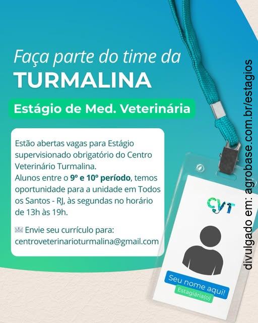 Estágio de medicina veterinária – Rio de Janeiro/RJ [zona norte]