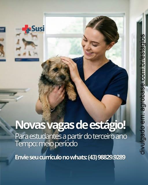 Estágio em medicina veterinária – Arapongas/PR