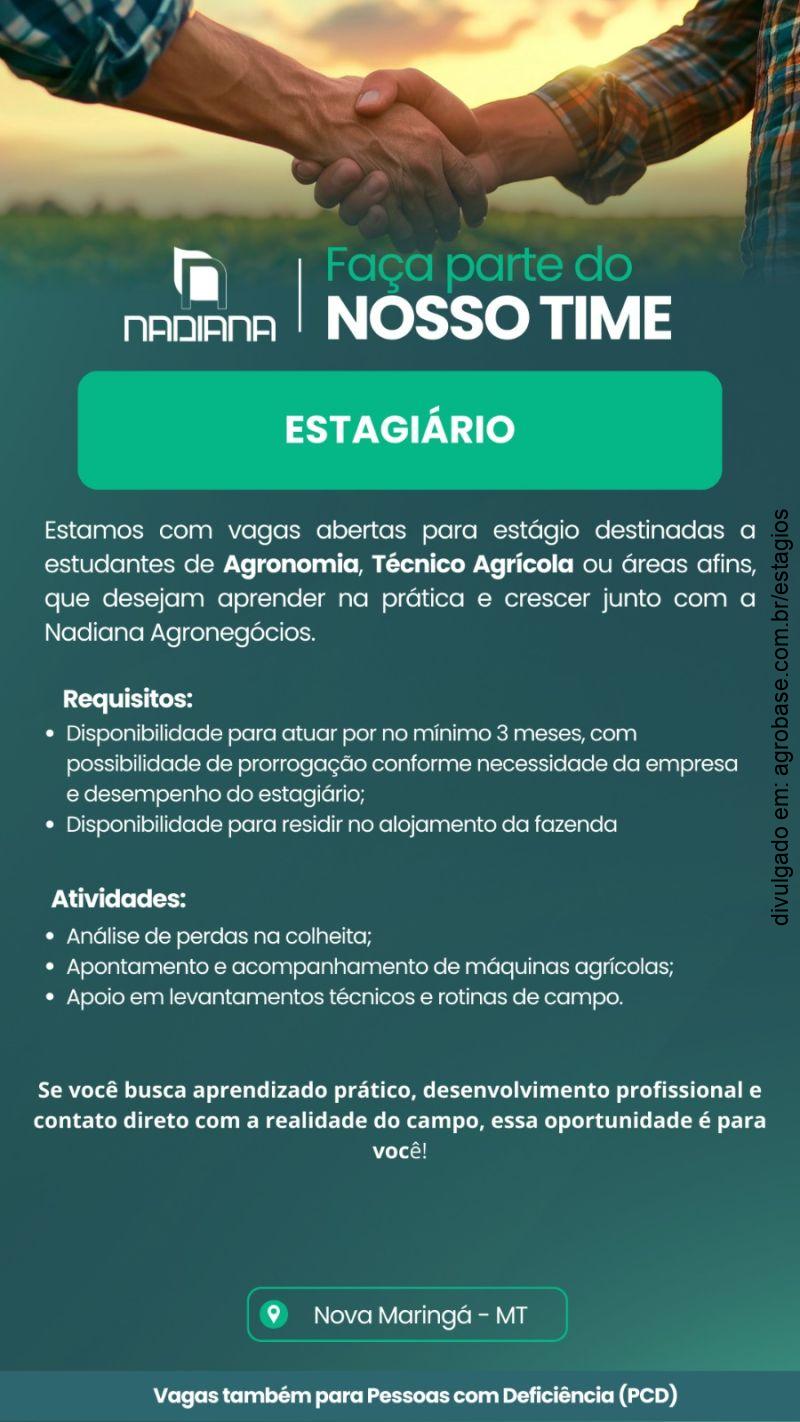 Estágio em fazenda – Nova Maringá/MT