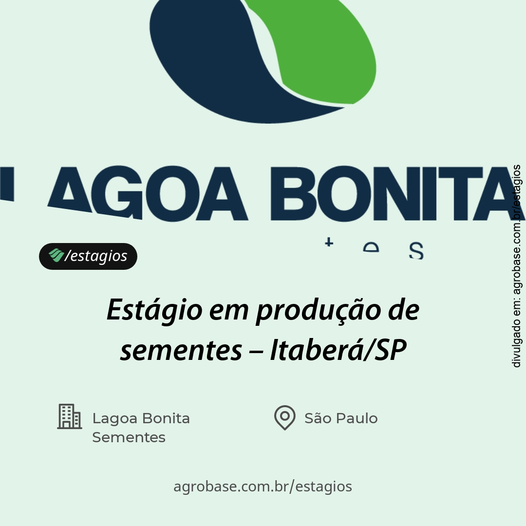 Estágio em produção de sementes – Itaberá/SP