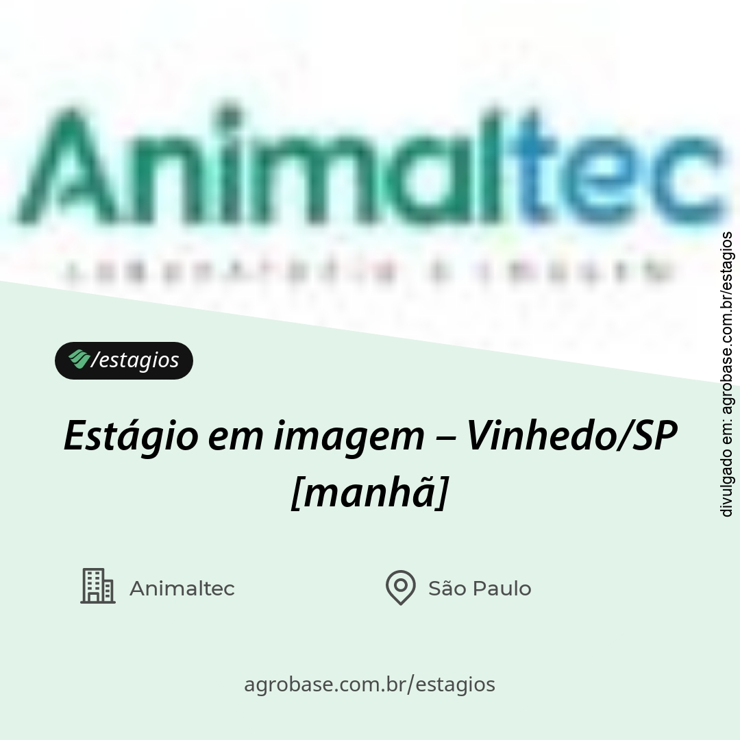 Estágio em imagem – Vinhedo/SP [manhã]