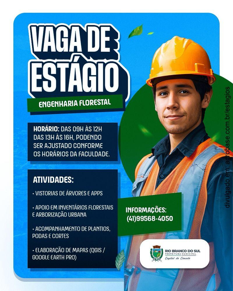 Estágio em engenharia florestal – Rio Branco do Sul/PR