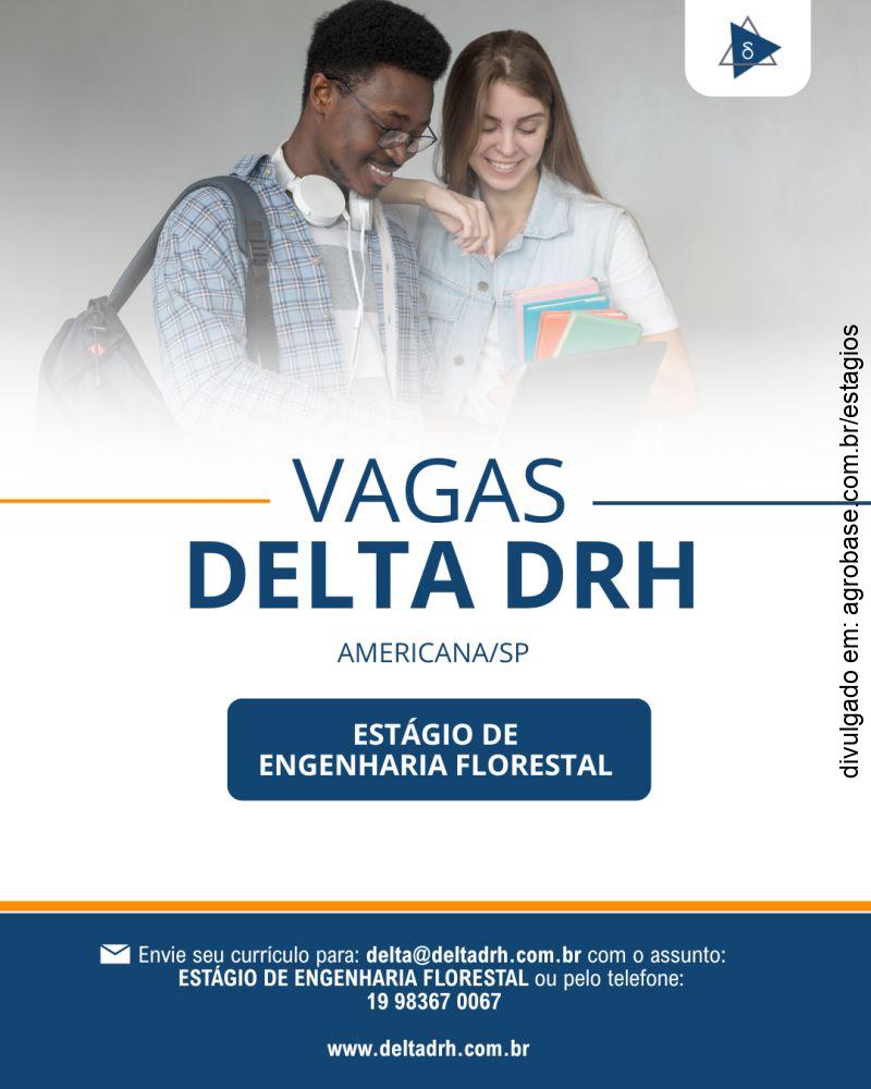 Estágio de engenharia florestal – Americana/SP