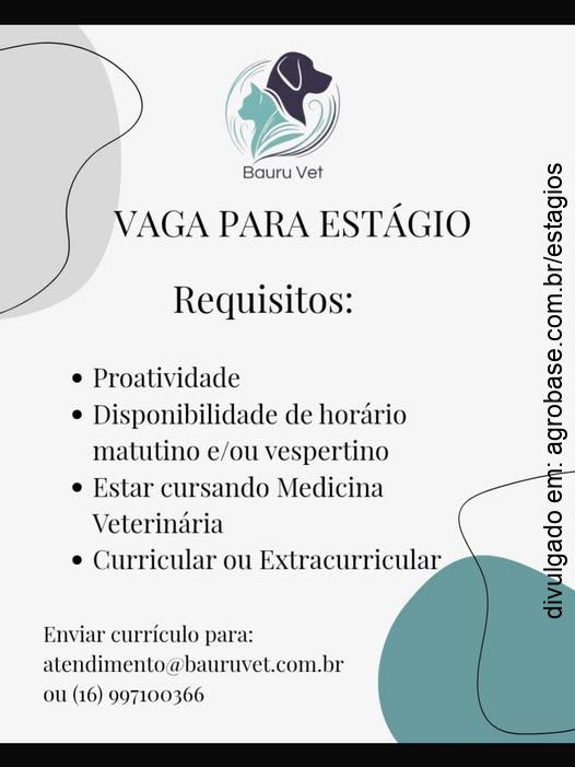 Estágio medicina veterinária – Bauru/SP