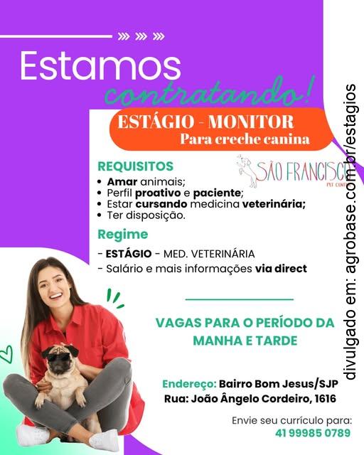 Estágio em medicina veterinária – São José dos Pinhais/PR