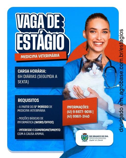 Estágio em medicina veterinária – Rio Branco do Sul/PR