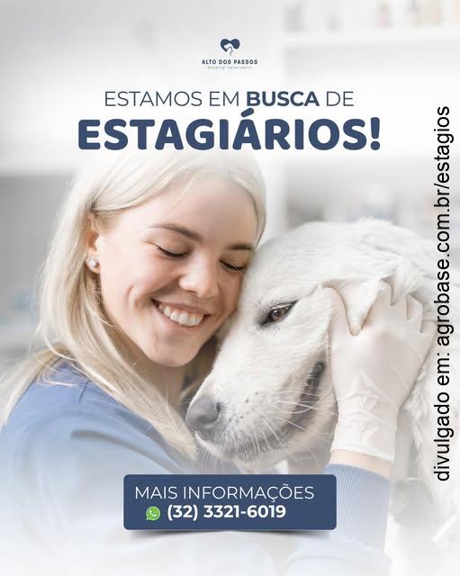 Estágio hospital veterinário – Juiz de Fora/MG