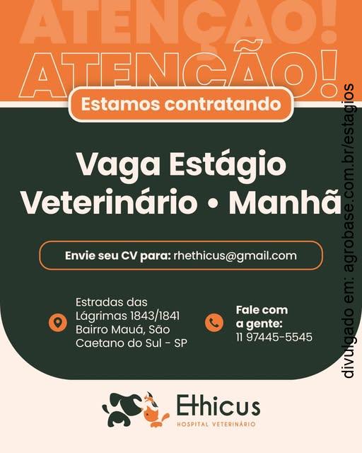 Estágio veterinário – São Caetano do Sul/SP [manhã]