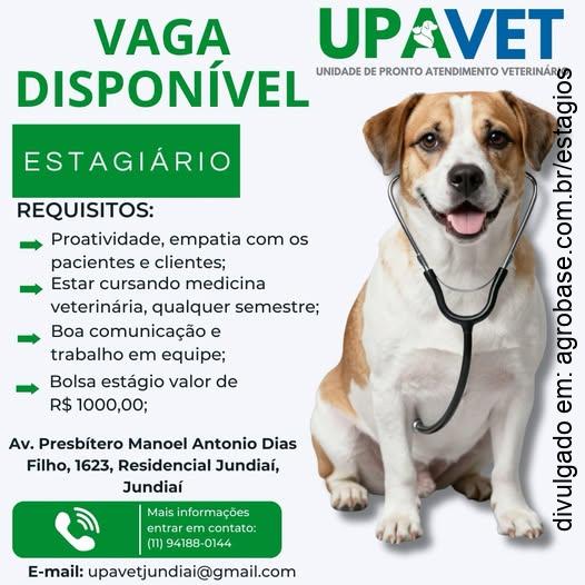 Estágio em medicina veterinária – Jundiaí/SP