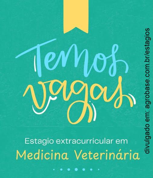 Estágio medicina veterinária – Bagé/RS