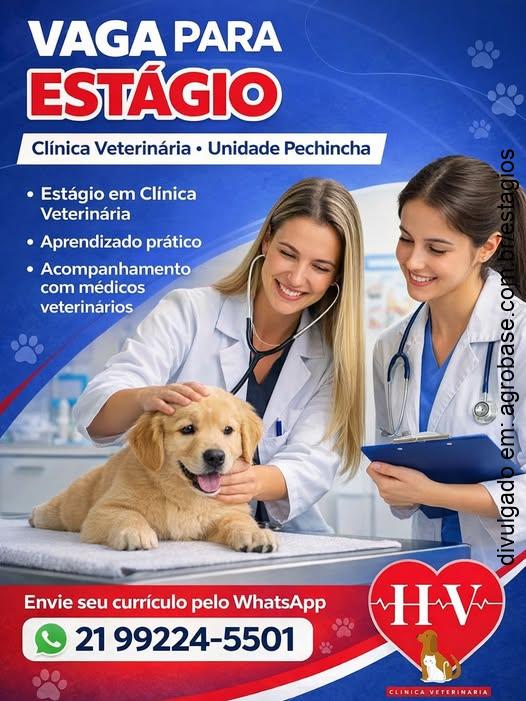 Estágio em clínica veterinária – Rio de Janeiro/RJ