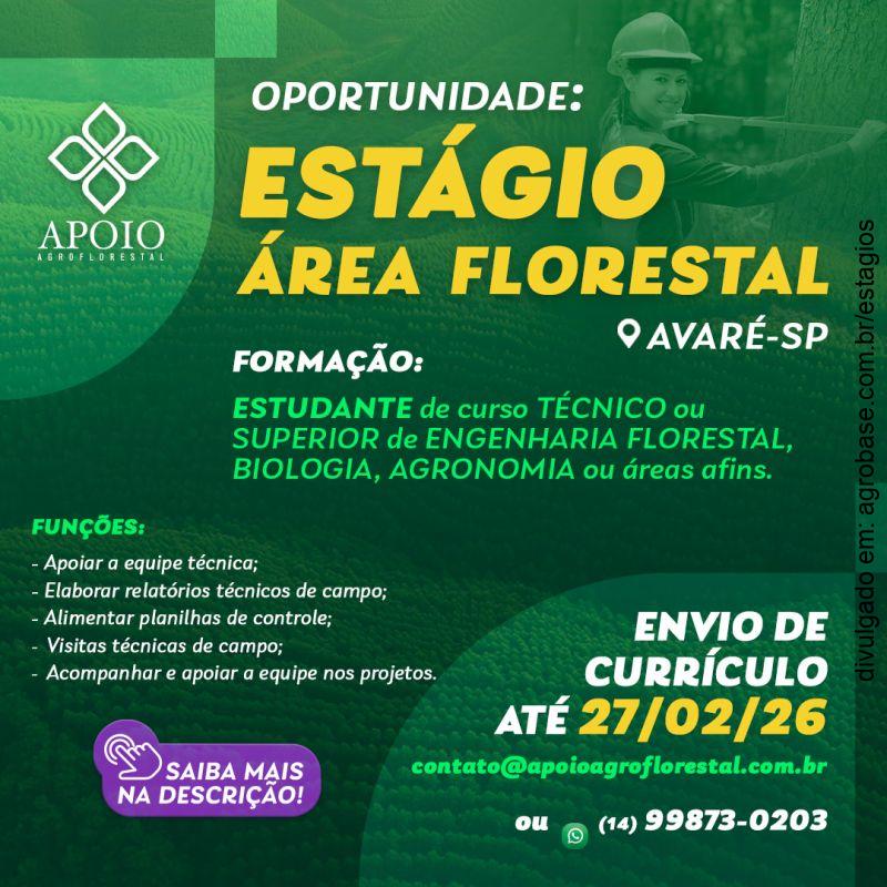 Estágio na área florestal – Avaré/SP