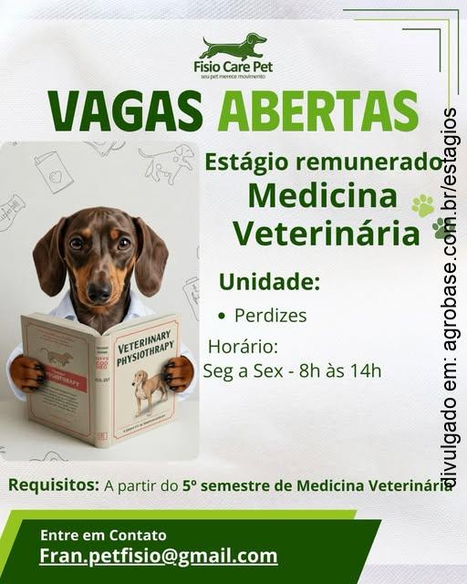 Estágio remunerado em med. veterinária – Perdizes/SP