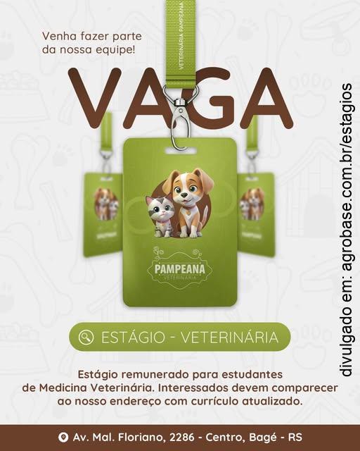 Estágio em veterinária – Bagé/RS