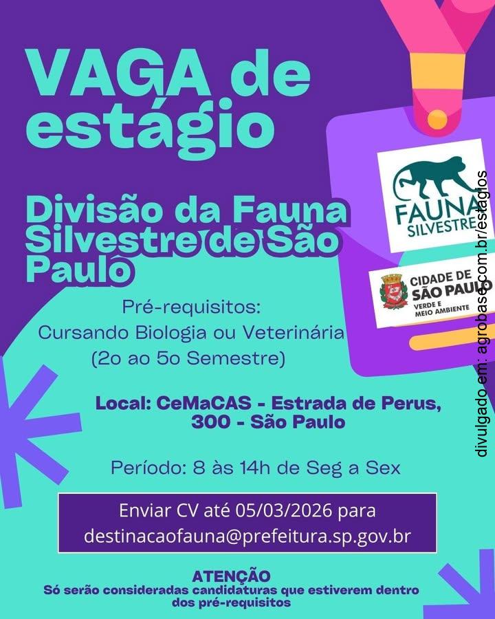 Estágio fauna silvestre – São Paulo/SP