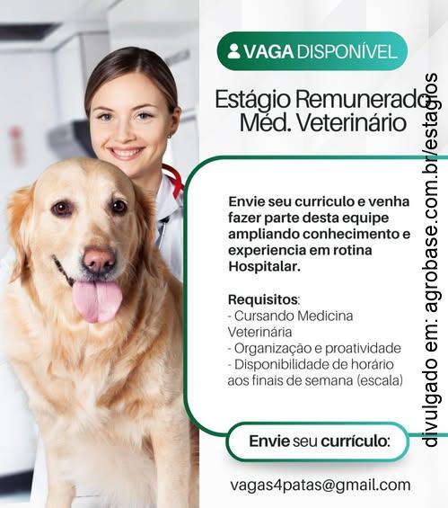 Estágio remunerado noturno em medicina veterinária – Joinville/SC