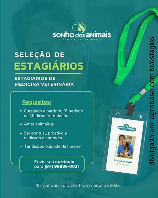 Estágio medicina veterinária – Extremoz/RN