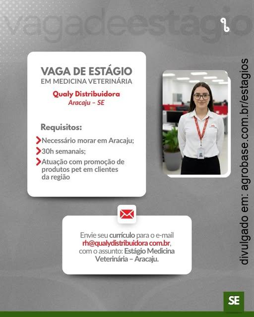 Estágio em medicina veterinária – Aracaju/SE