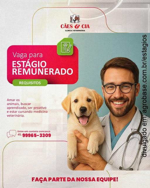Estágio remunerado – Cascavel/PR