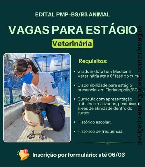 Estágio de veterinária – Florianópolis/SC