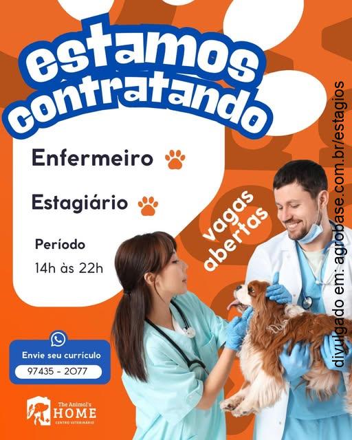Estágio de veterinária – Mauá/SP