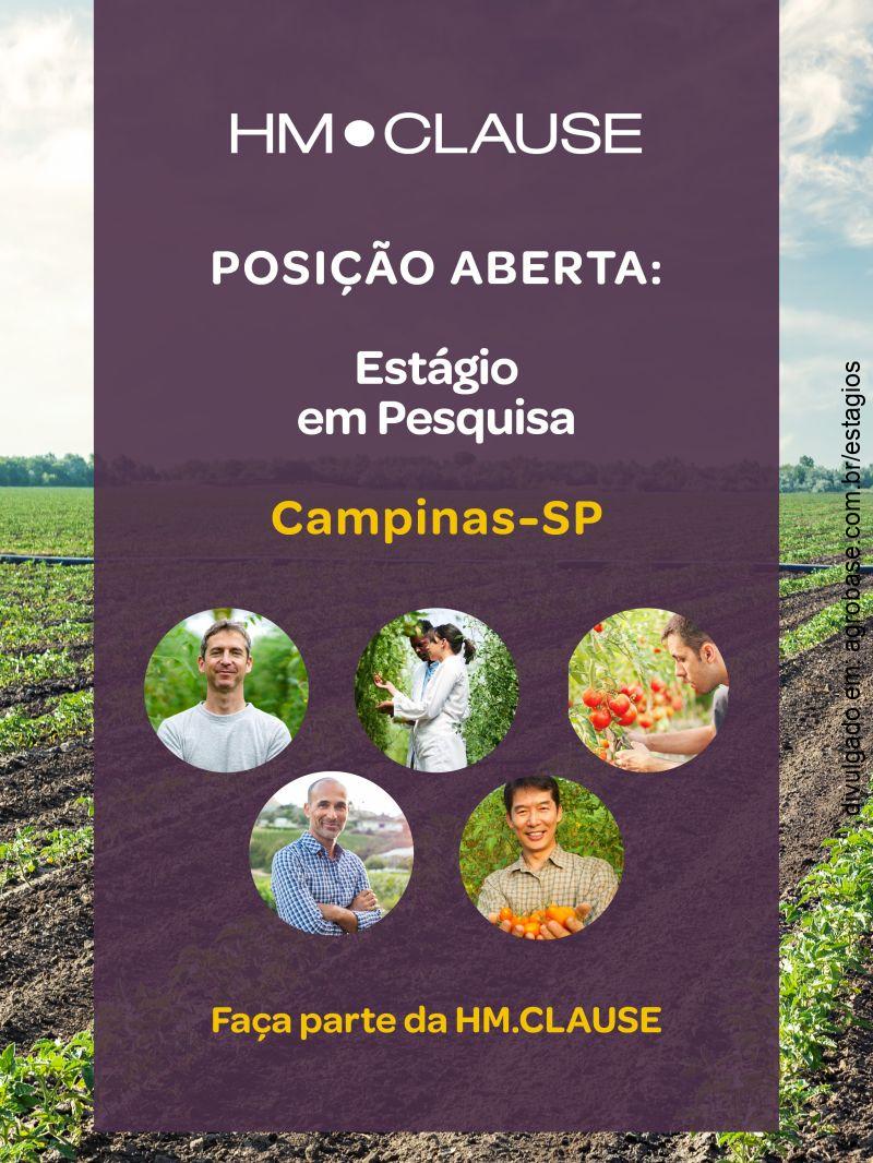 Estágio em pesquisa & desenvolv. de sementes de hortaliças – Campinas-SP