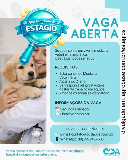 Estágio em medicina veterinária – Presidente Prudente/SP