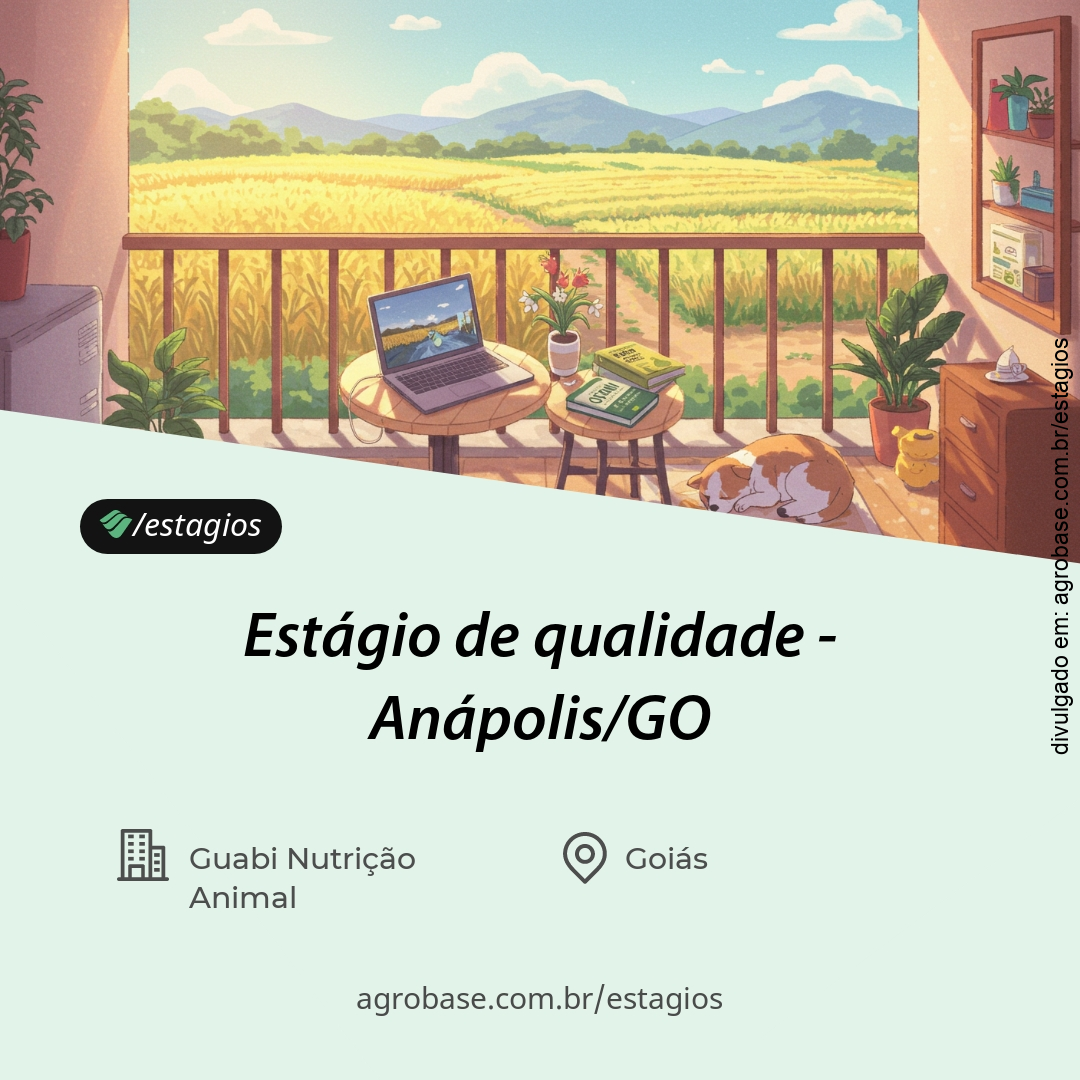 Estágio de qualidade – Anápolis/GO