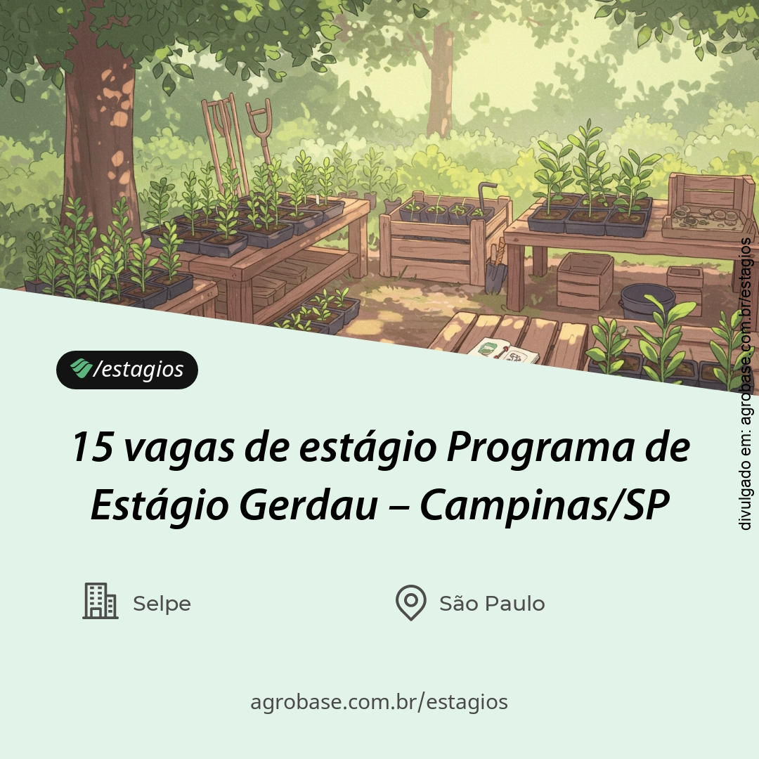 15 vagas de estágio Programa de Estágio Gerdau – Campinas/SP